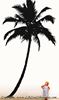 Picture of Palm Tree  2 (Vinyl Wall Decals: Tree Silhouettes)