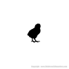 Picture of Baby Chick 43 (Farm Animal Silhouette Decals)